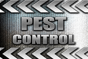 Pest Control Logo