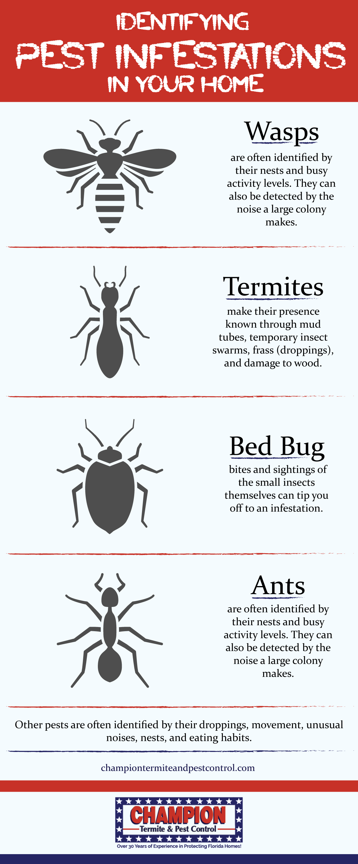 Champion Termite Pest Control Infographic