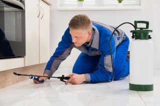 Man Spraying For Termites