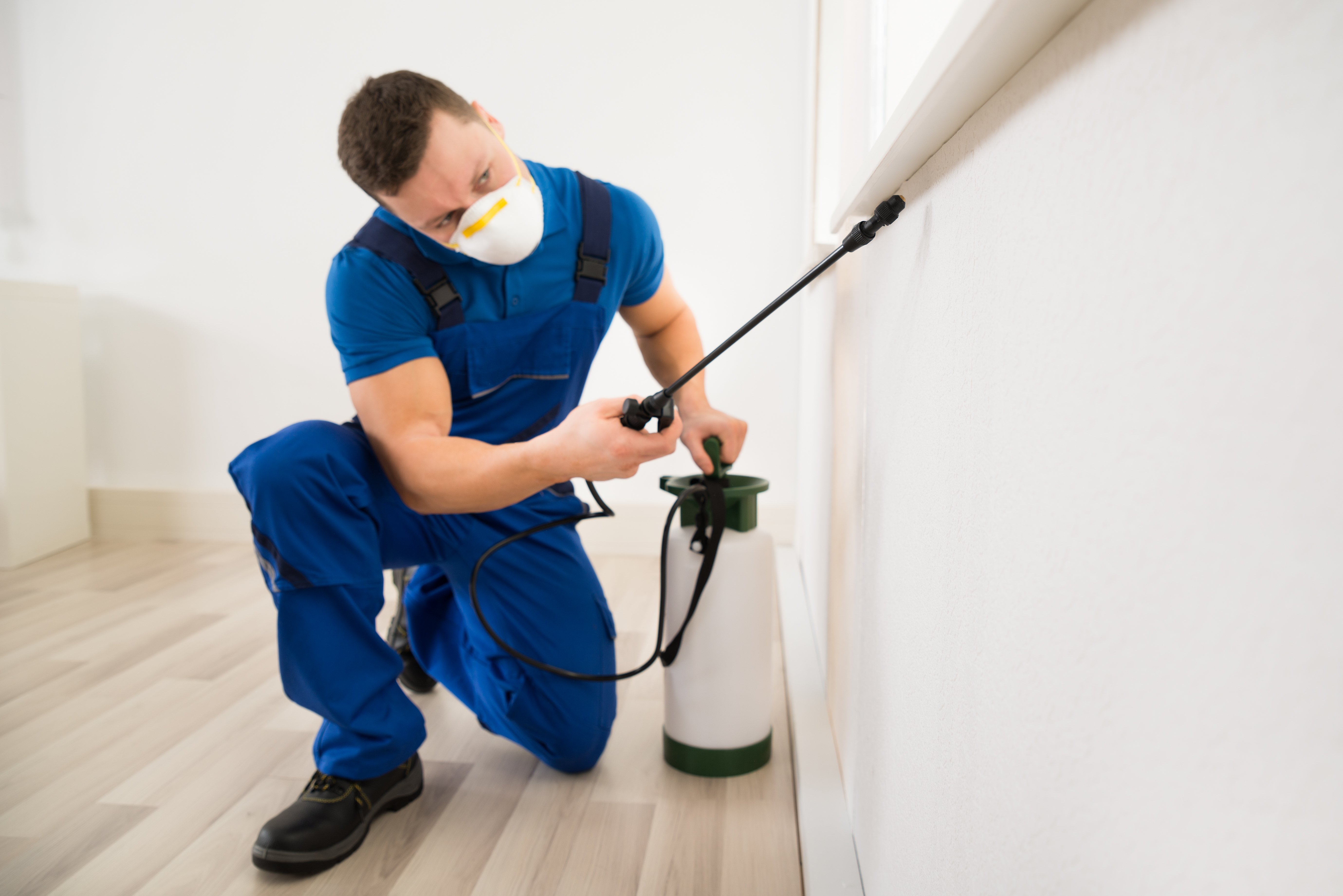 Pest Control Spraying