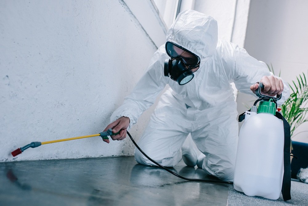 Termite Exterminator Spraying