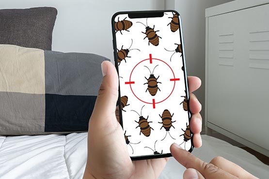 Signs You Need To Call For Pest Control Services