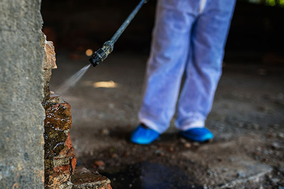 Termite Exterminator Spraying