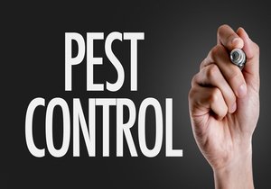 Pest Control Spraying