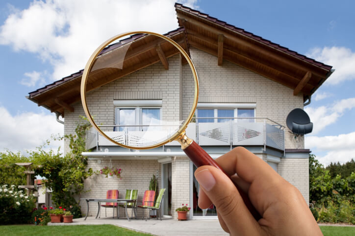 Home Pest Inspections In Palatka, FL