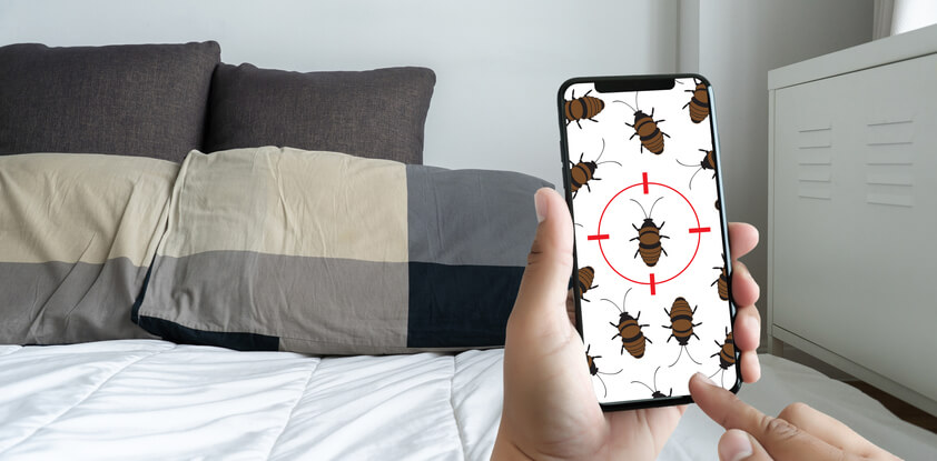 Bed Bug Control In Jacksonville, FL