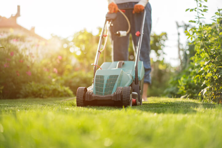 Man Mowing Lawn With Pests In Florida