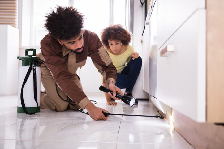 Exterminator Eliminating Roaches From A Home