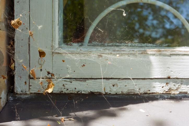 Pest Infestation Sign