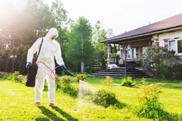 Image for How To Keep Your Home Pest-Free This Summer