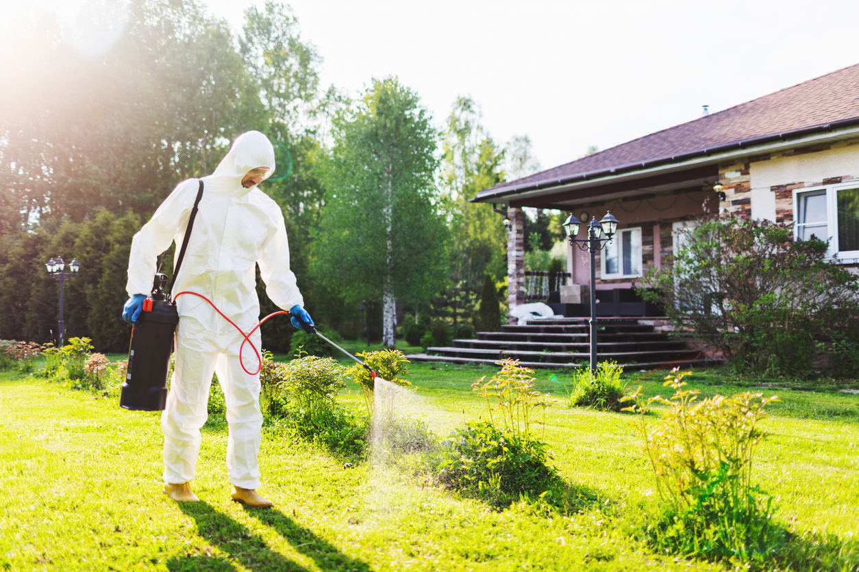 How To Keep Your Home Pest-Free This Summer